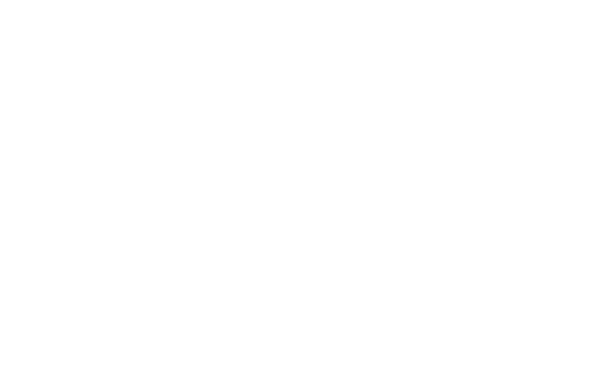 Stanley & Son Roofing